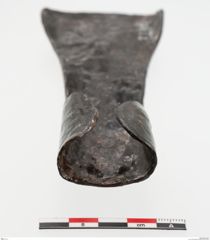 Foto von Eisendechsel (NHMW-PRAE-023817)